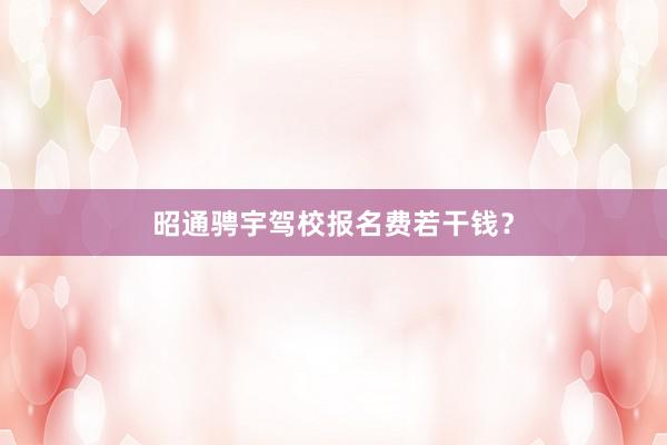 昭通骋宇驾校报名费若干钱？